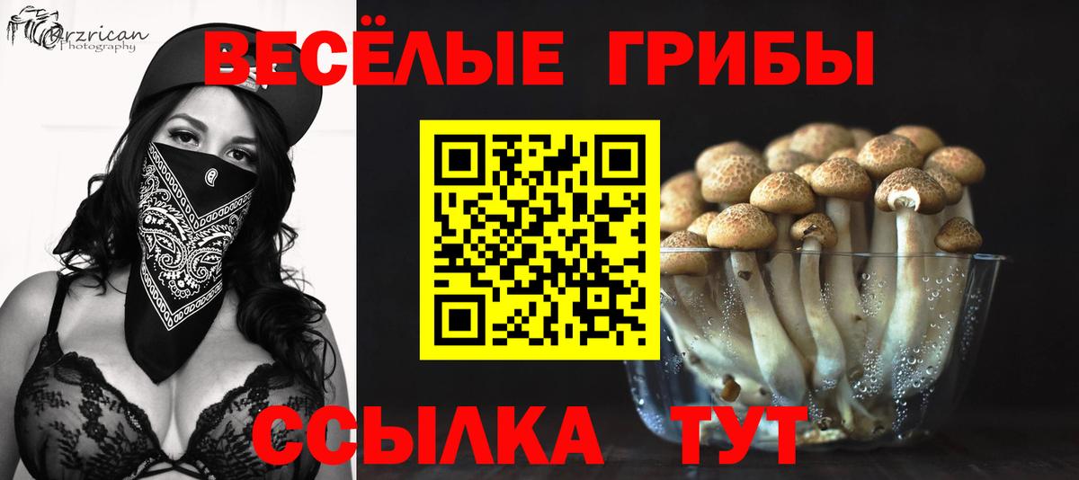 Галлюциногенные грибы Psilocybe  Вход с VPN  Истра 