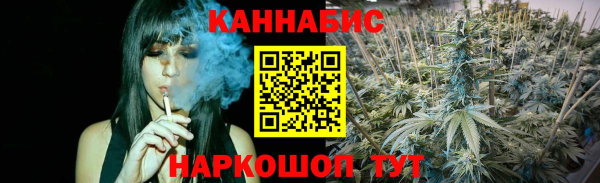 Конопля семена  Канабис сатива  МАРИХУАНА MAZAR  Истра  Конопля SATIVA & INDICA  Вход с VPN 
